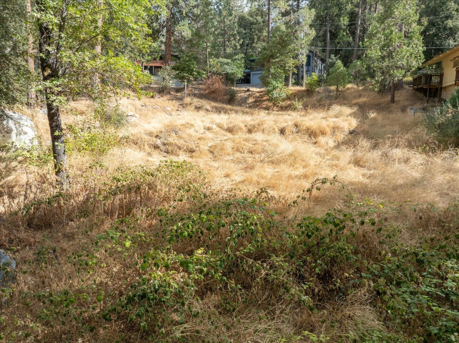 42893 Scenic, Oakhurst, CA 93644