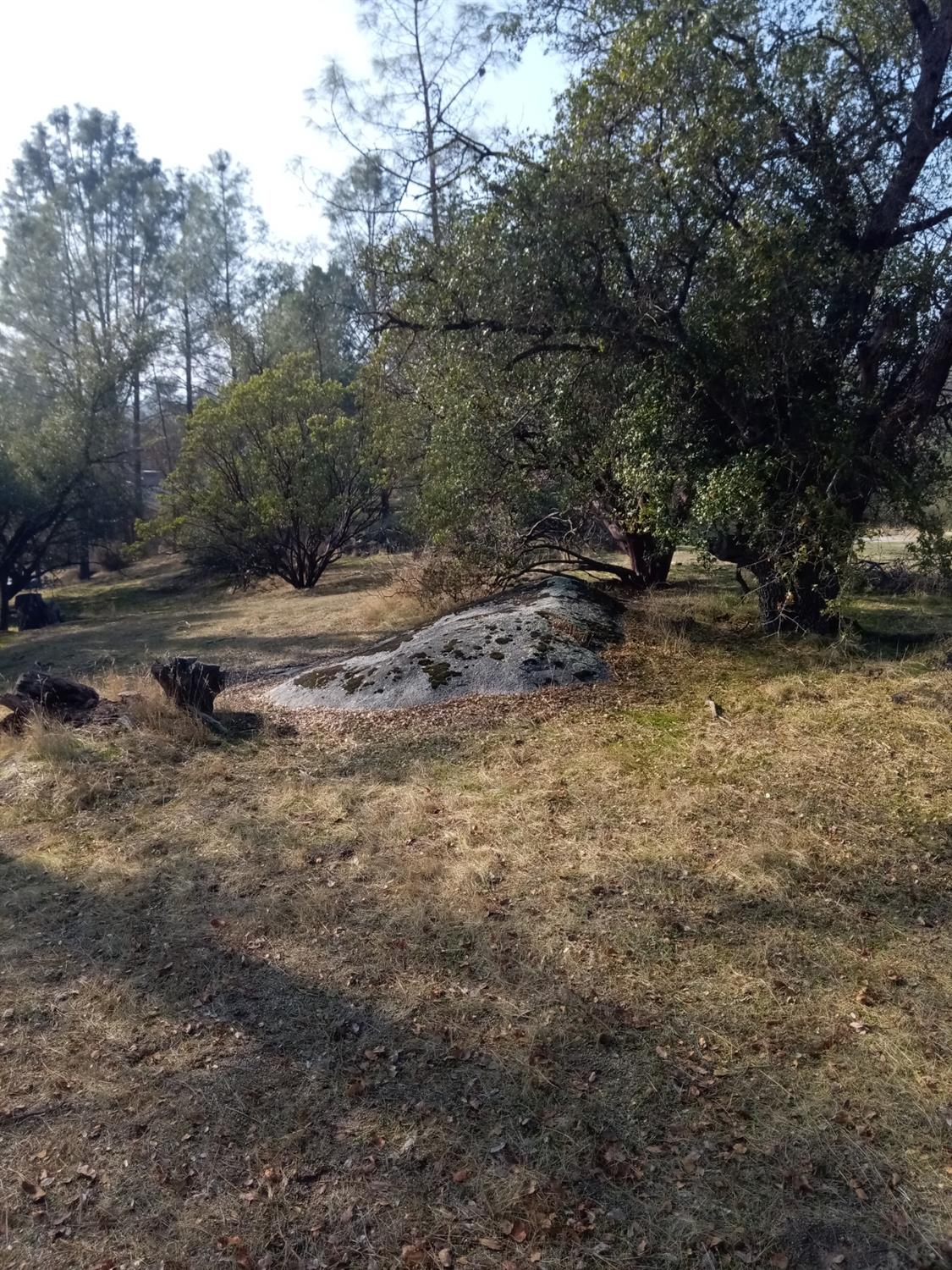 0 Lot 856 Deep Forest Dr, Coarsegold, CA 93614