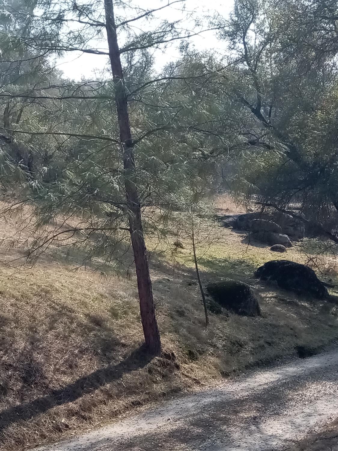 0 Lot 856 Deep Forest Dr, Coarsegold, CA 93614