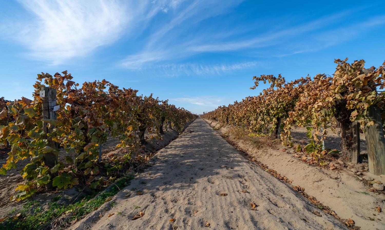 8139 S Kenneth Ave, Fowler, CA 93625