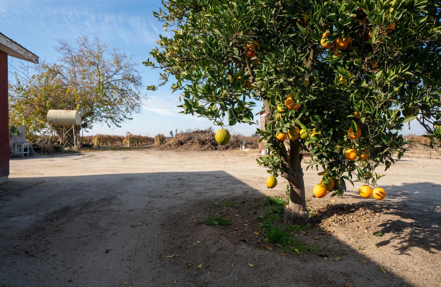 8139 S Kenneth Ave, Fowler, CA 93625