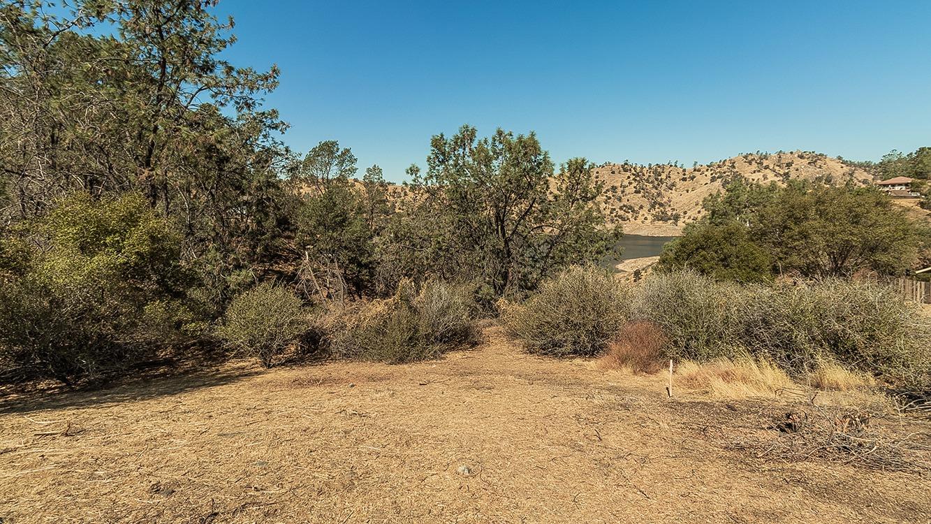 27757 Sky Harbour Rd, Friant, CA 93626