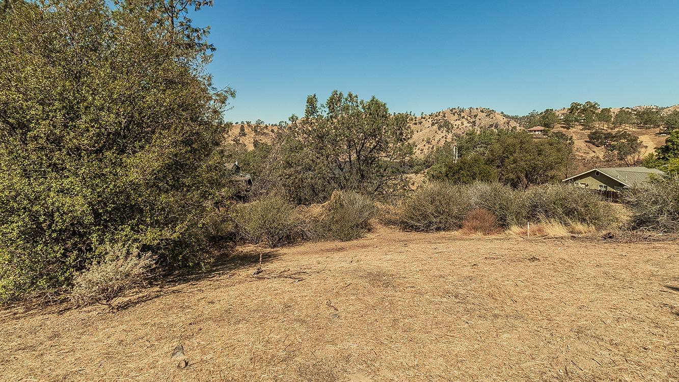 27767 Sky Harbour Rd, Friant, CA 93626