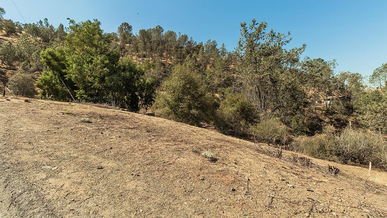 27767 Sky Harbour Rd, Friant, CA 93626