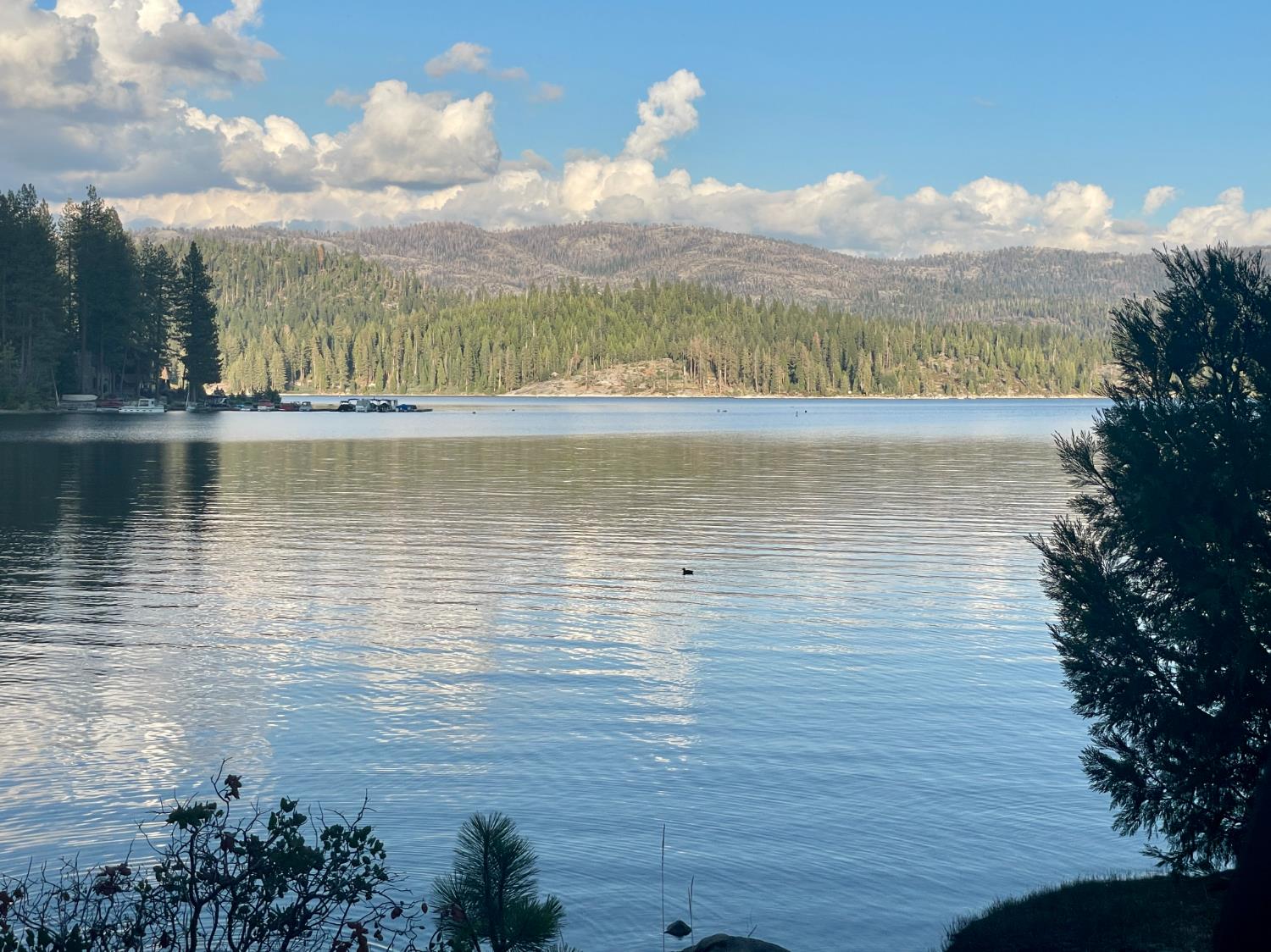40806 Mill Run Ln, Shaver Lake, CA 93664