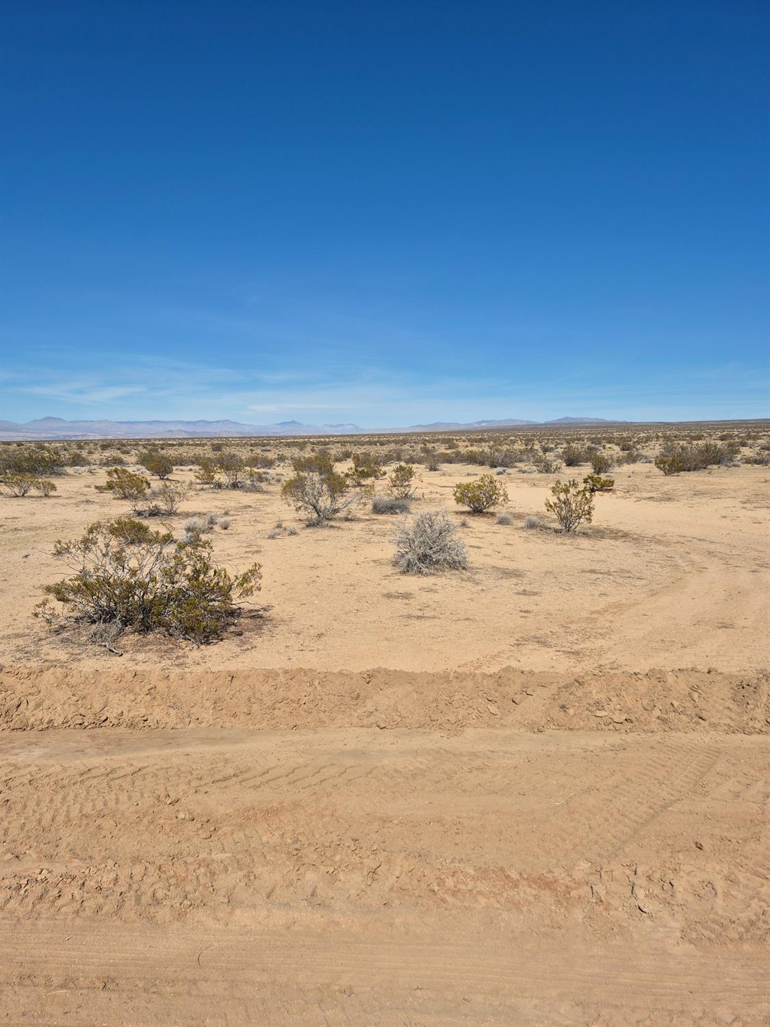 99 T St, California City, CA 93505