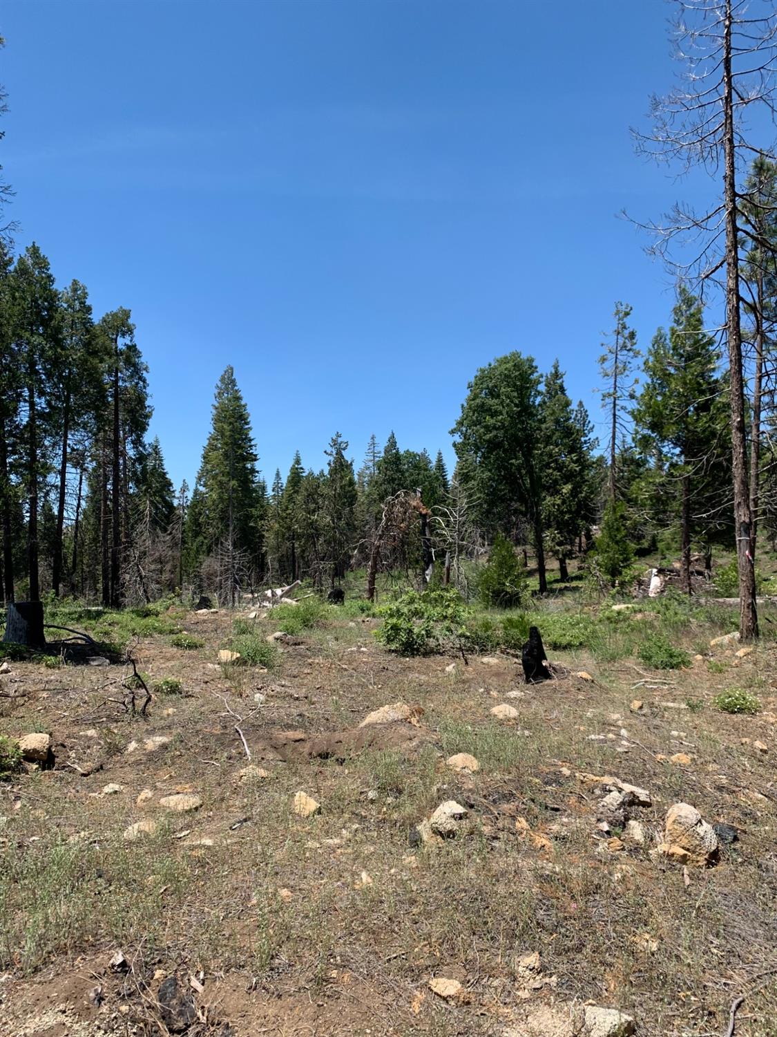1 Shaver Lake, Auberry, CA 93602
