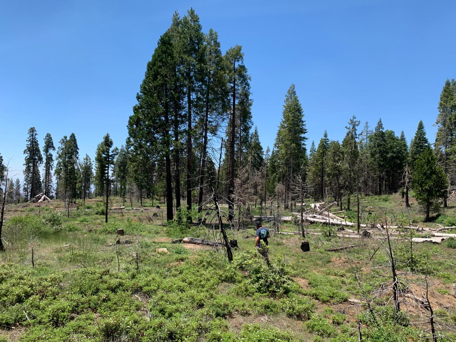 1 Shaver Lake, Auberry, CA 93602