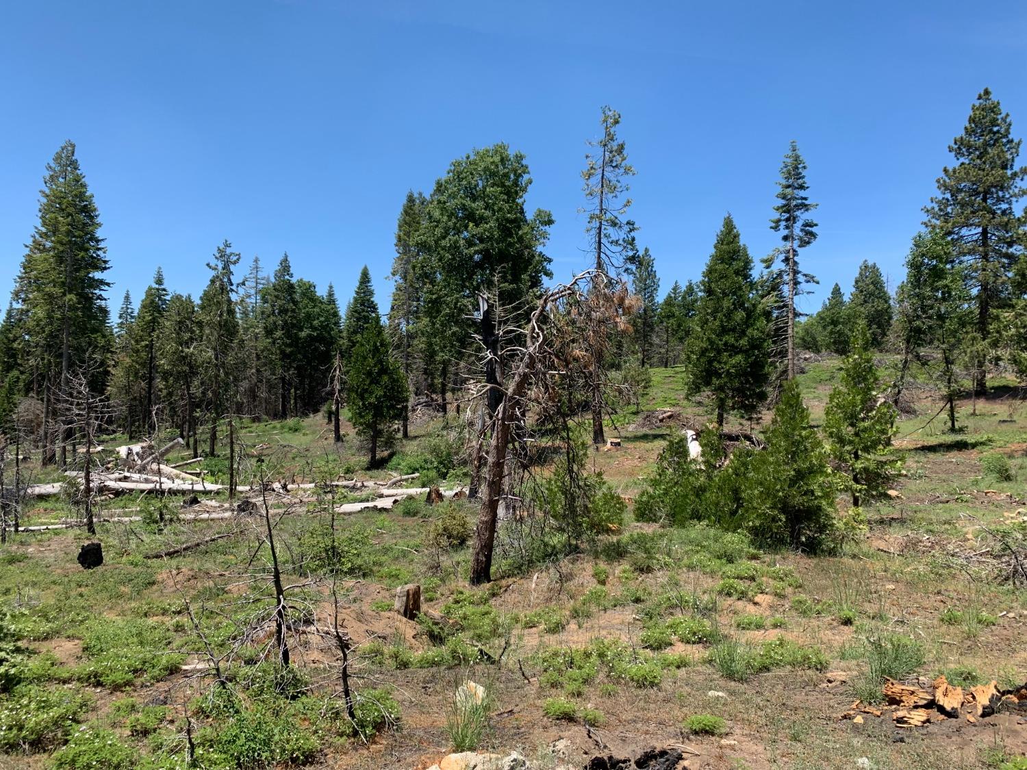 1 Shaver Lake, Auberry, CA 93602