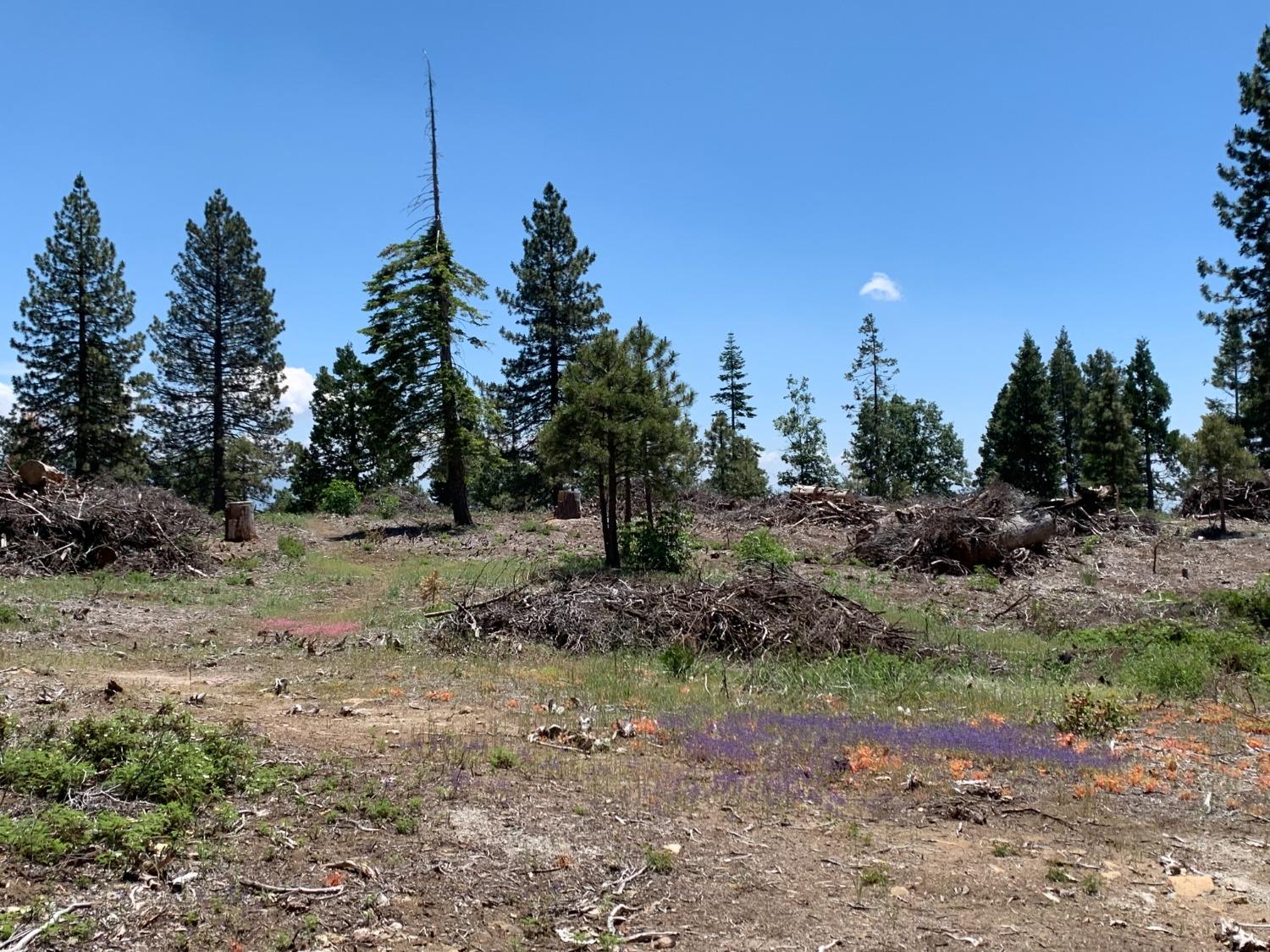 1 Shaver Lake, Auberry, CA 93602