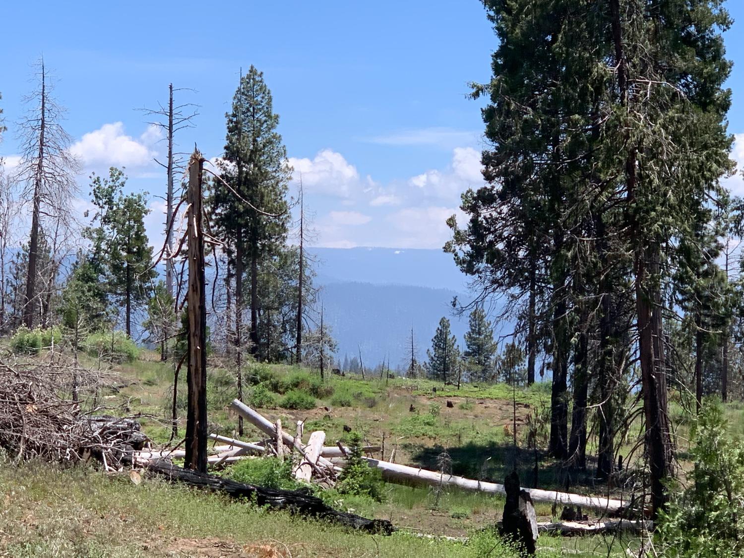 1 Shaver Lake, Auberry, CA 93602