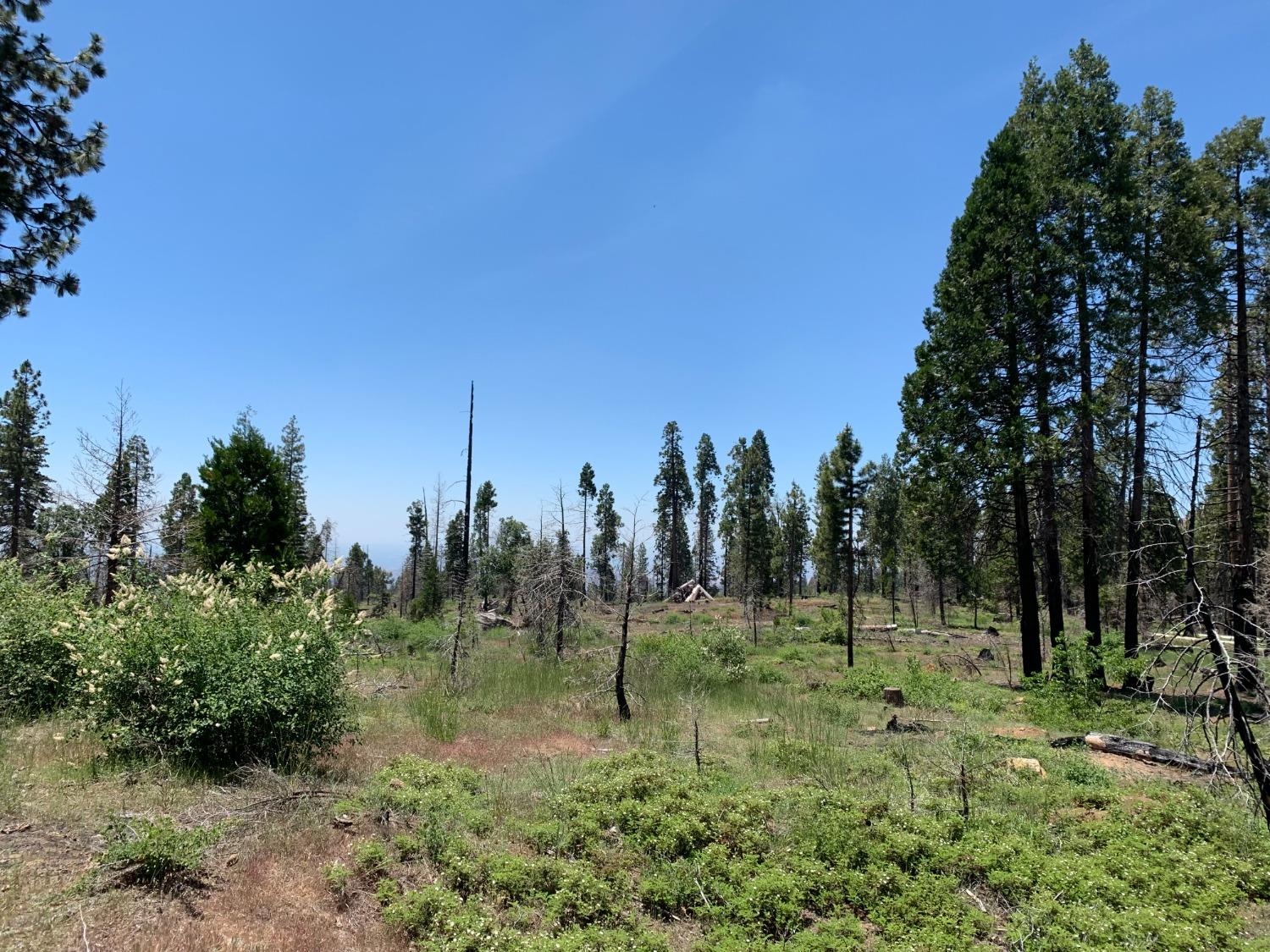 1 Shaver Lake, Auberry, CA 93602