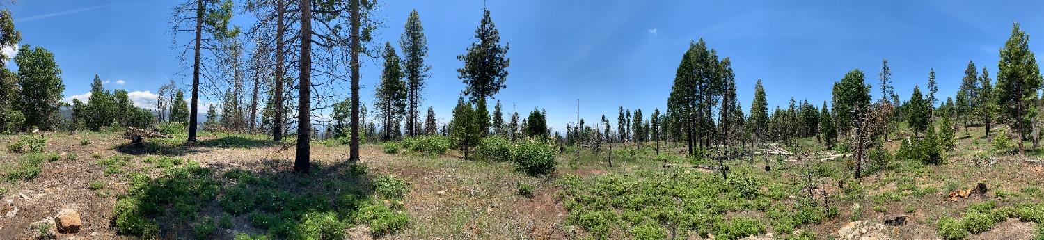 1 Shaver Lake, Auberry, CA 93602