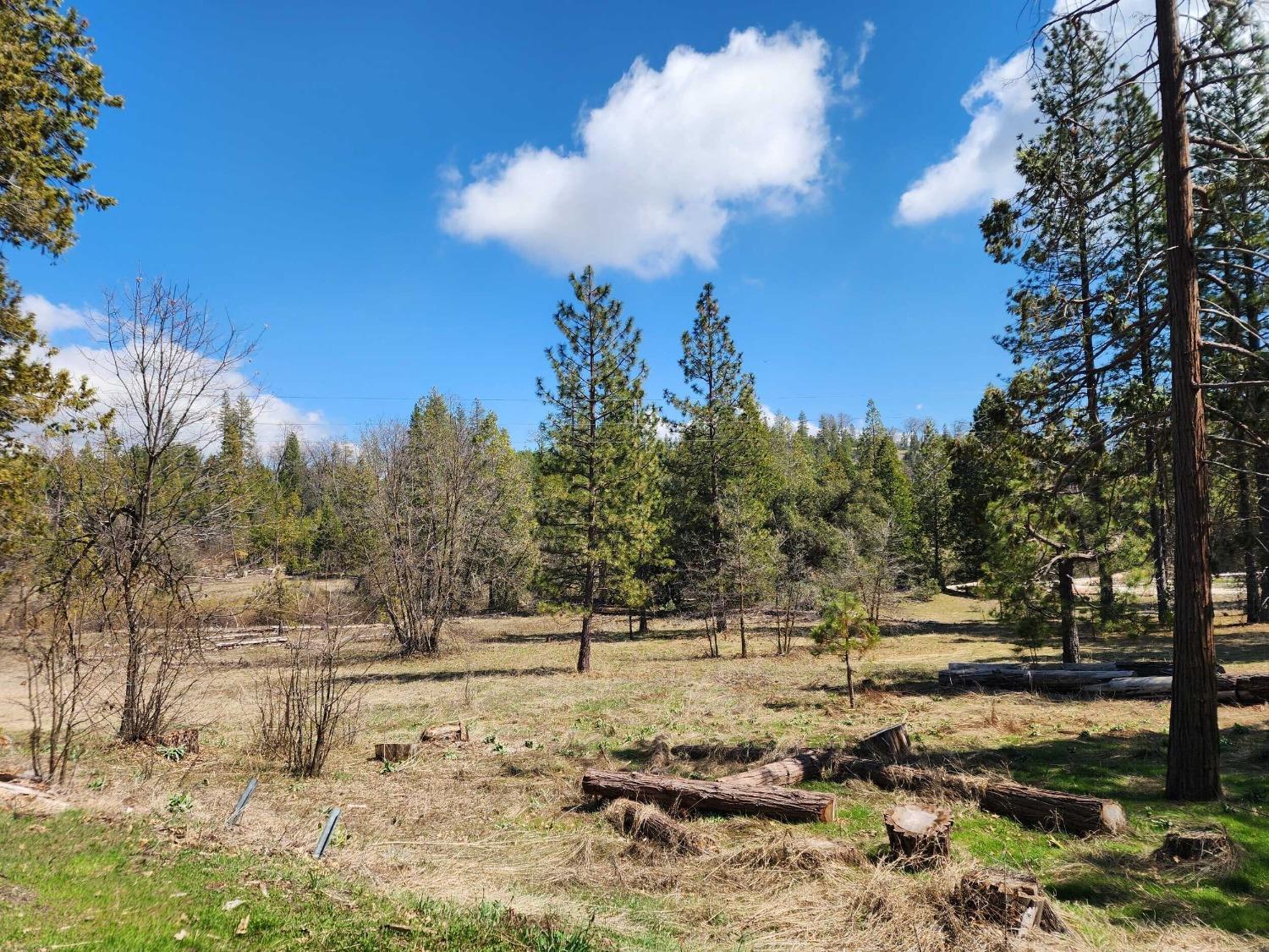 41916 Meadow Ln, Auberry, CA 93602