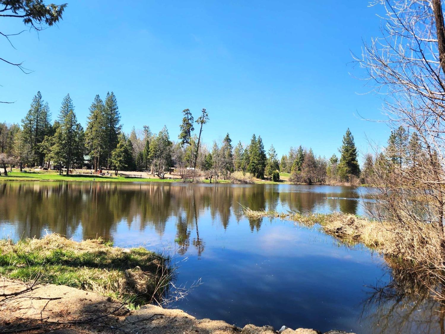 41916 Meadow Ln, Auberry, CA 93602