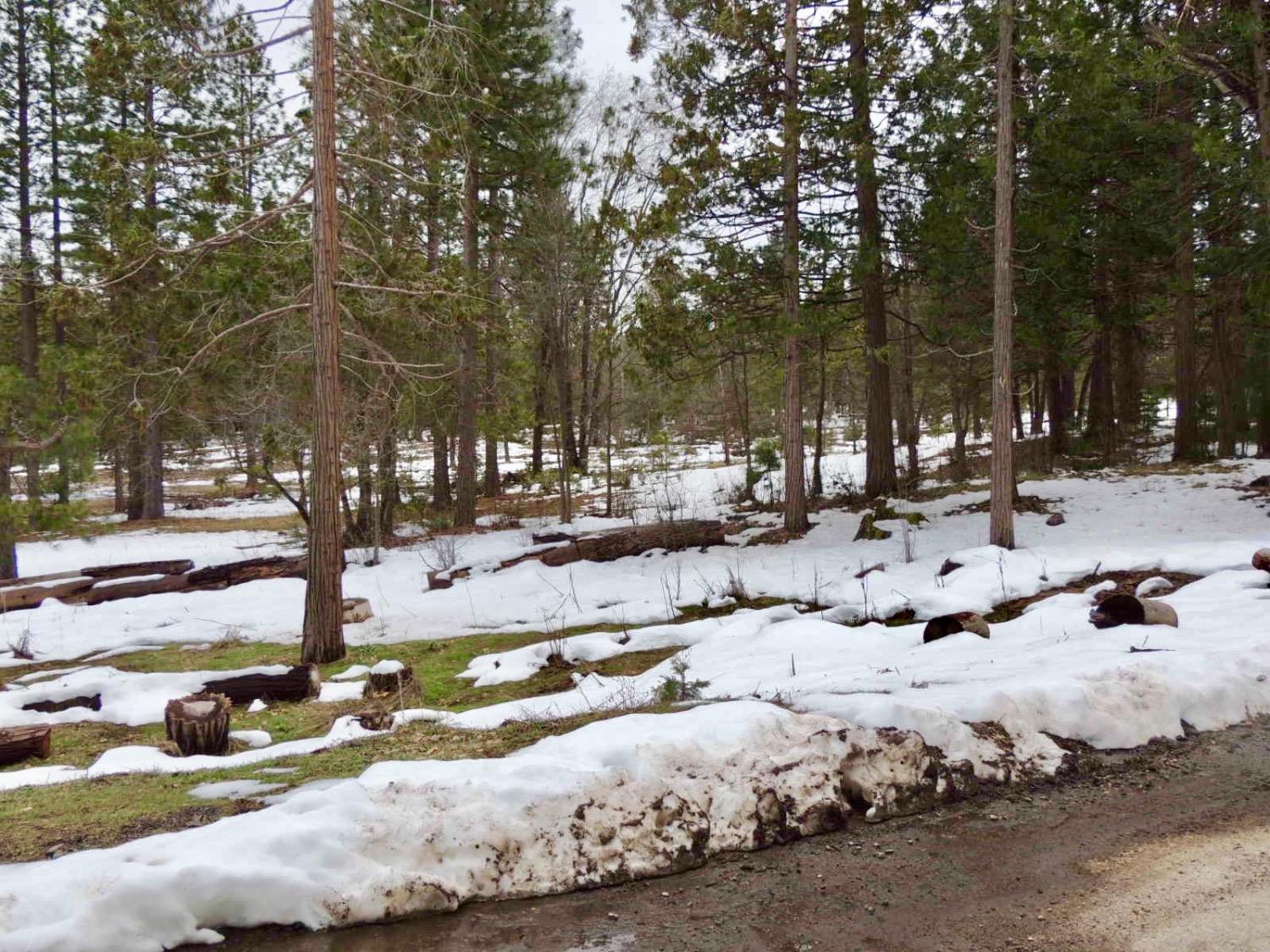 41916 Meadow Ln, Auberry, CA 93602