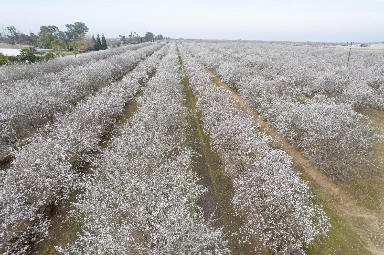 0 0 APN 029-190-022-000, Madera, CA 93637