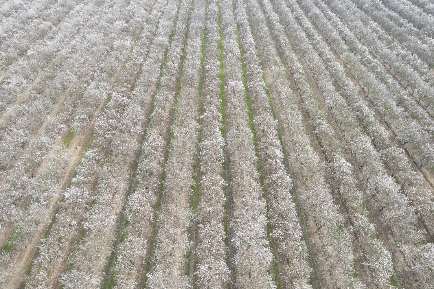 0 0 APN 029-190-023-000, Madera, CA 93637