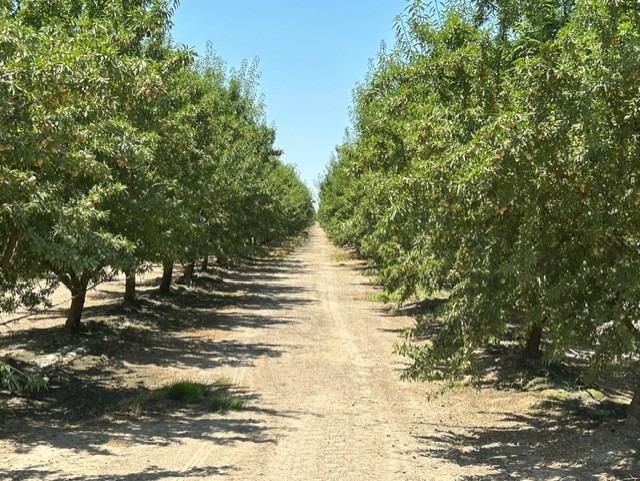 0 0 Road 23, Madera, CA 93637