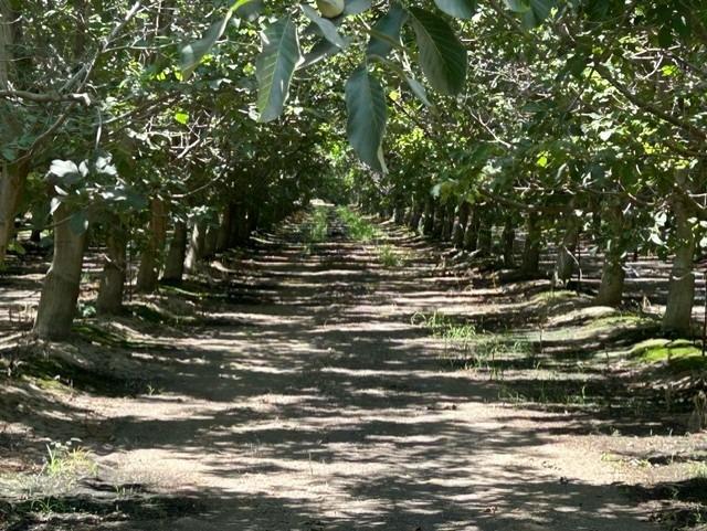 0 0 Road 23, Madera, CA 93637