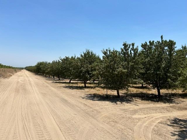 0 0 Road 23, Madera, CA 93637