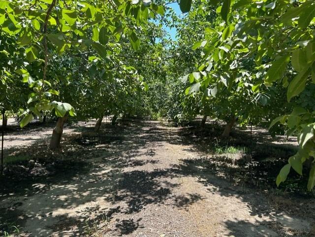 0 0 Road 23, Madera, CA 93637