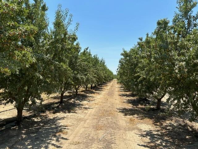 0 0 Road 23, Madera, CA 93637