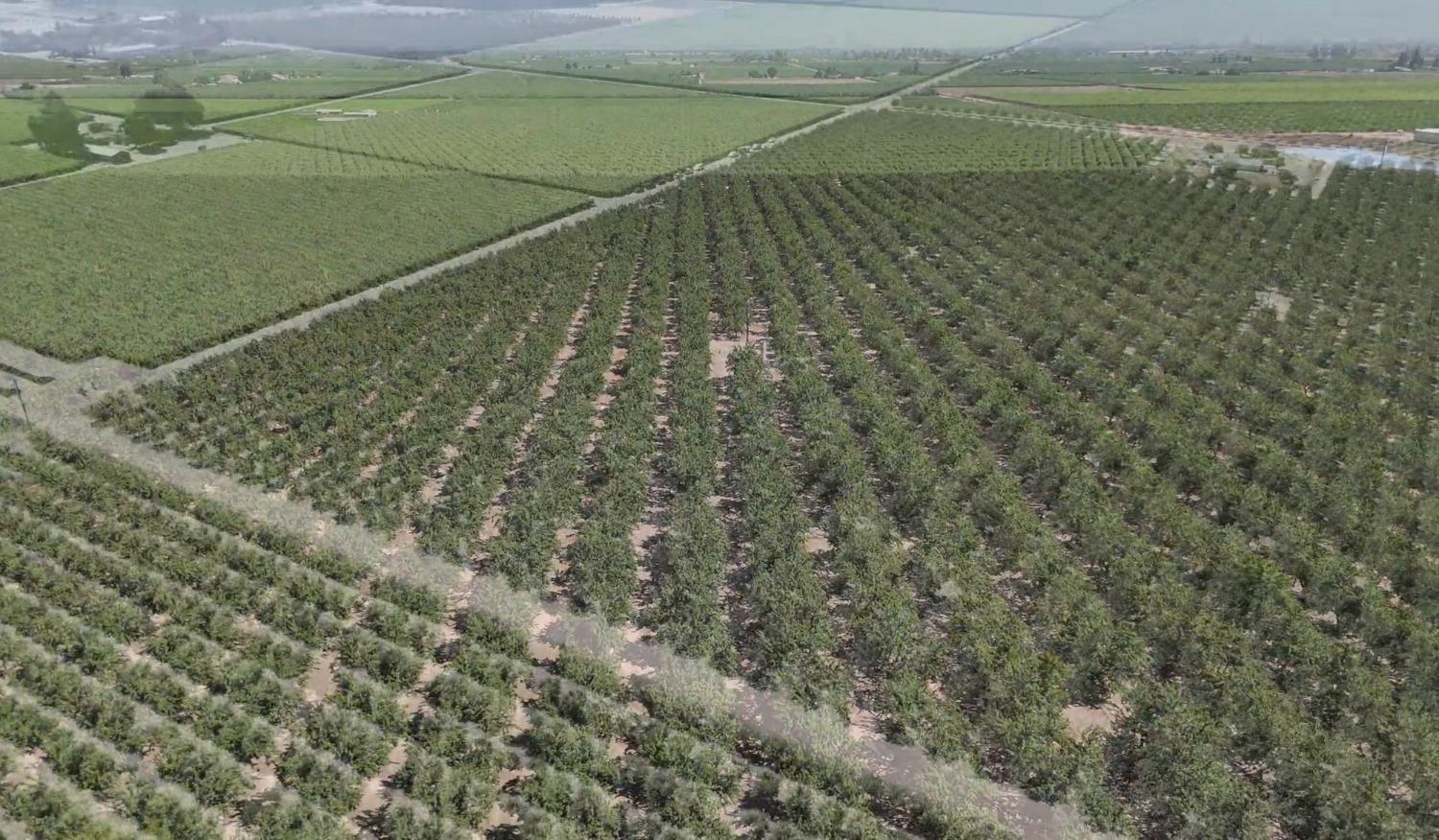 10454 E Clarkson Ave, Kingsburg, CA 93631