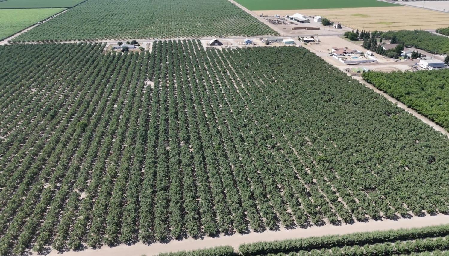 10454 E Clarkson Ave, Kingsburg, CA 93631