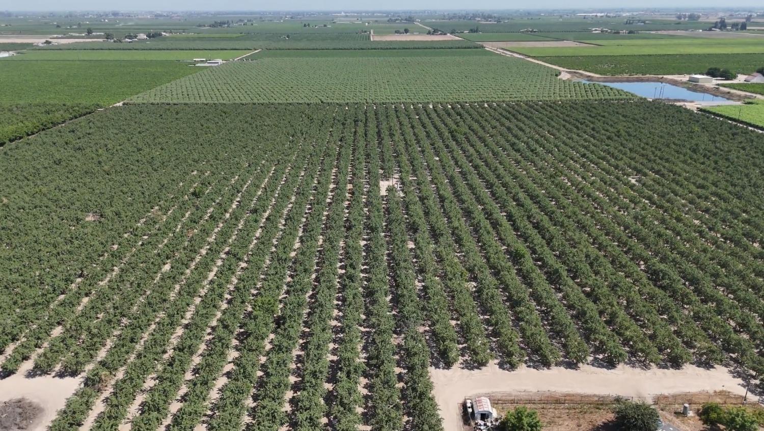 10454 E Clarkson Ave, Kingsburg, CA 93631