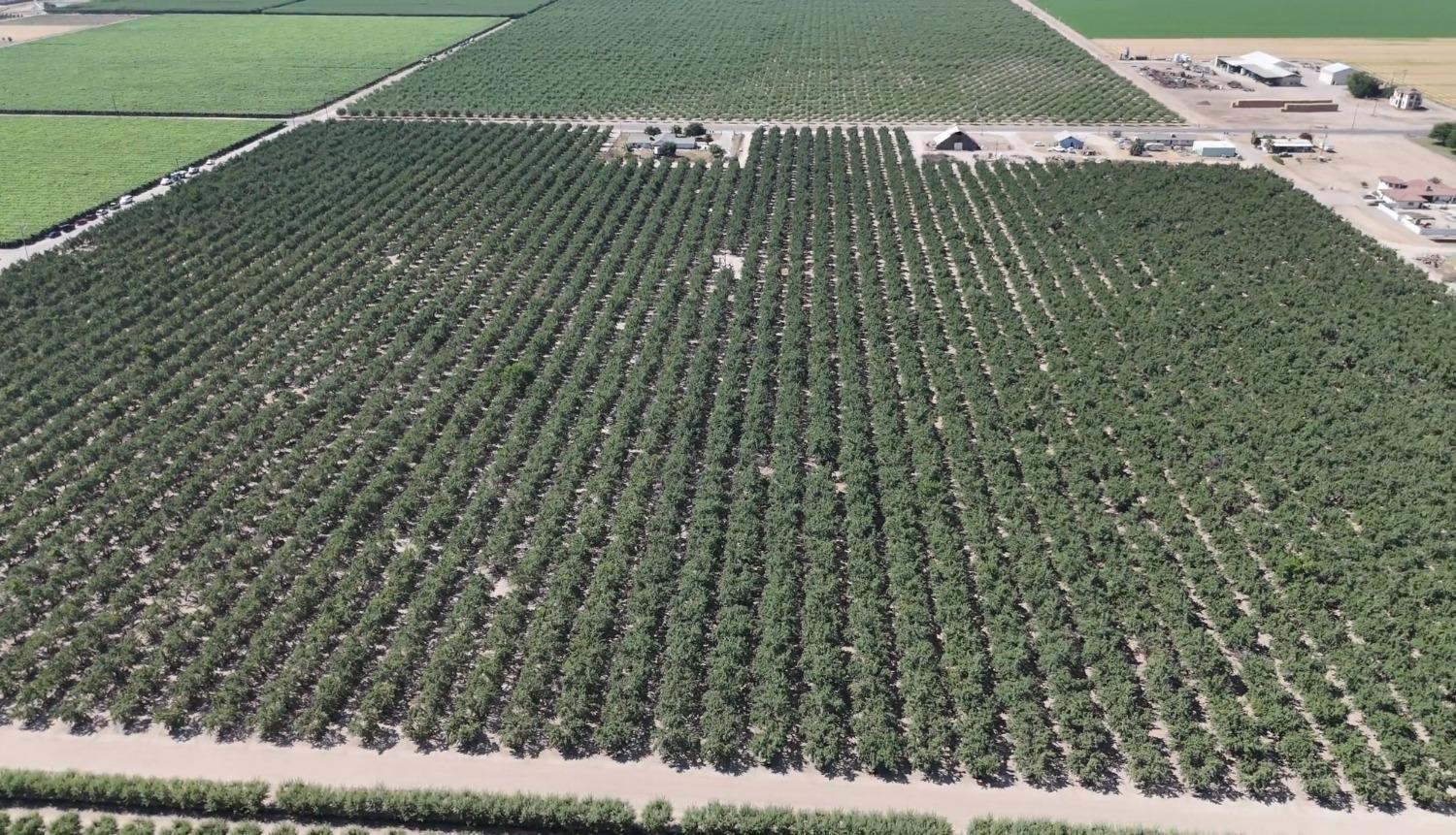 10454 E Clarkson Ave, Kingsburg, CA 93631