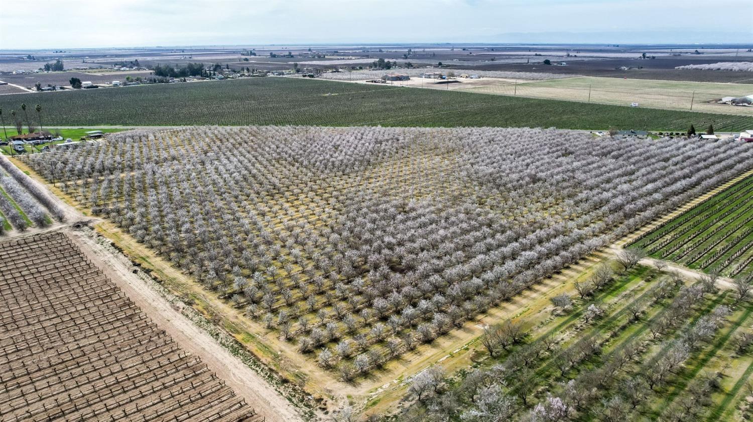 10690 S Henderson Rd, Fresno, CA 93706