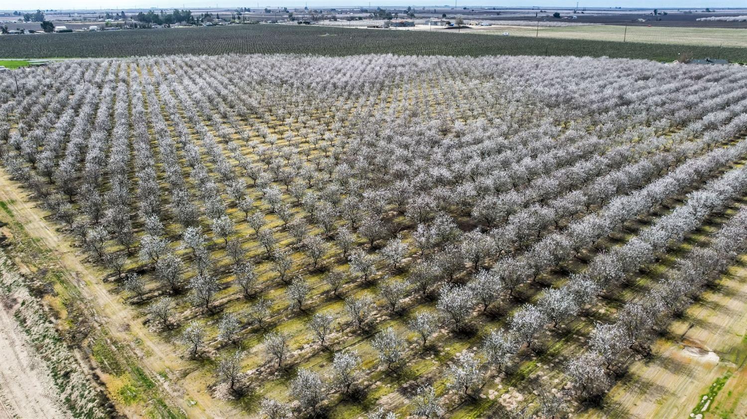 10690 S Henderson Rd, Fresno, CA 93706