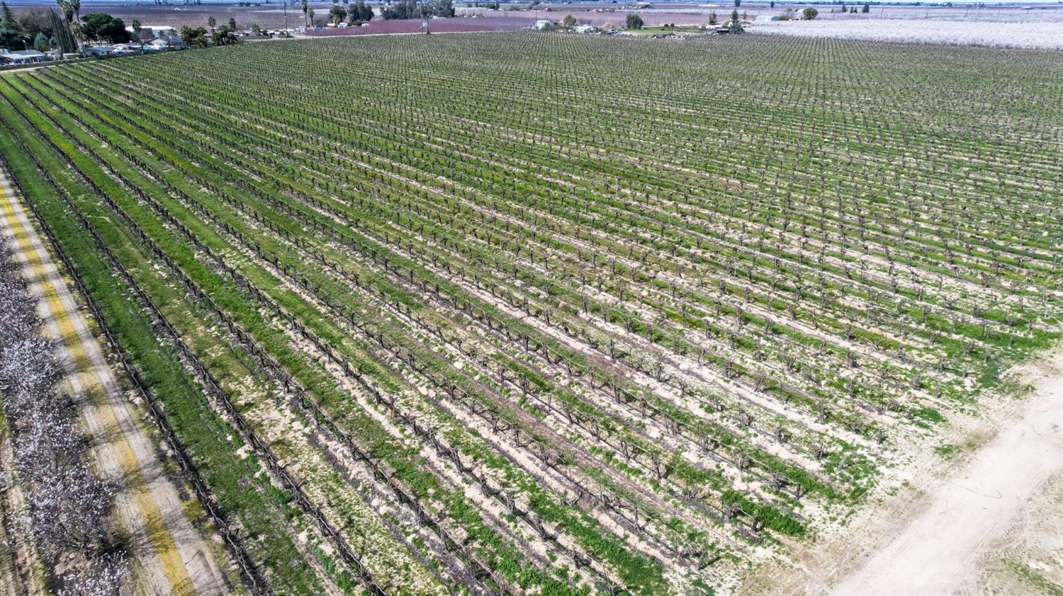 10690 S Henderson Rd, Fresno, CA 93706