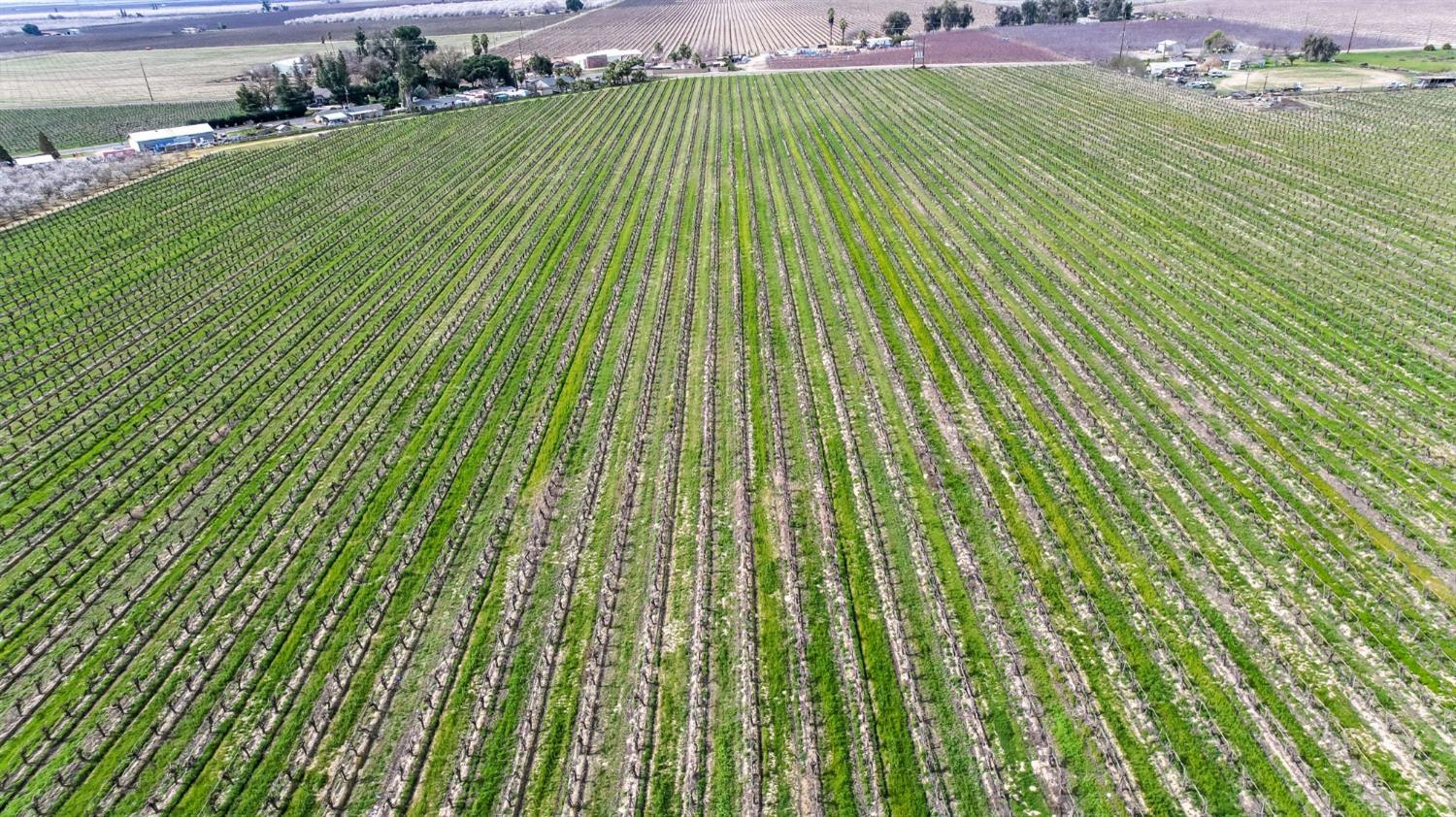 10690 S Henderson Rd, Fresno, CA 93706