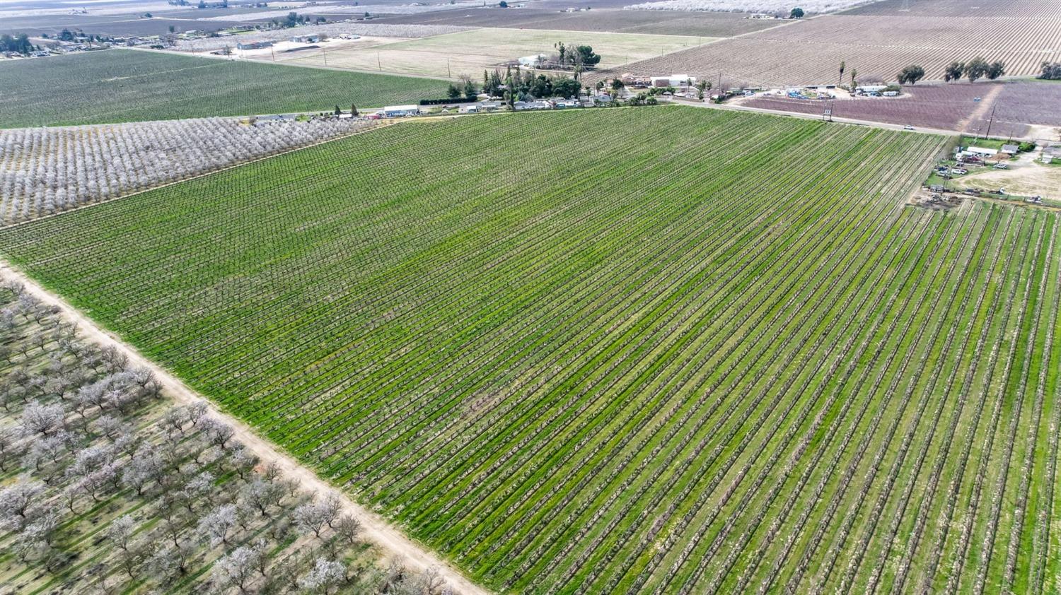 10690 S Henderson Rd, Fresno, CA 93706