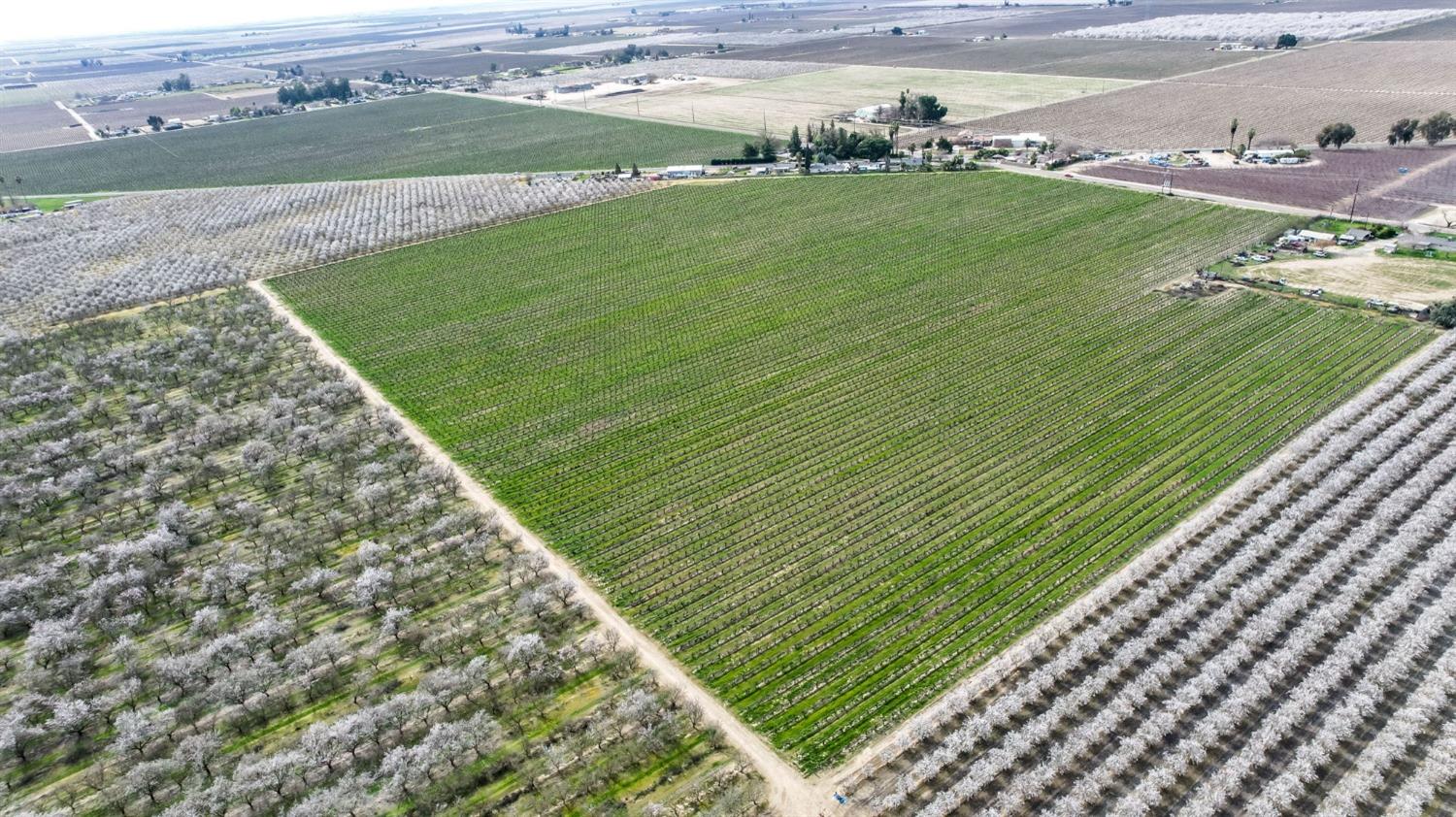 10690 S Henderson Rd, Fresno, CA 93706