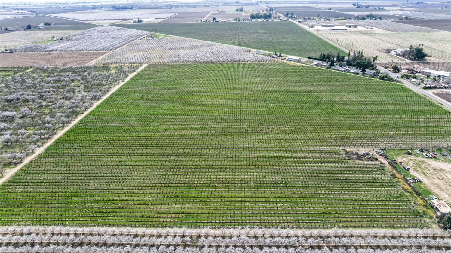 10690 S Henderson Rd, Fresno, CA 93706