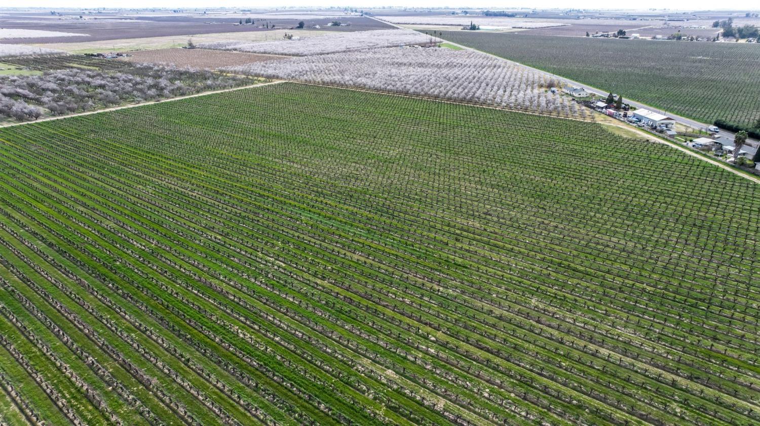 10690 S Henderson Rd, Fresno, CA 93706