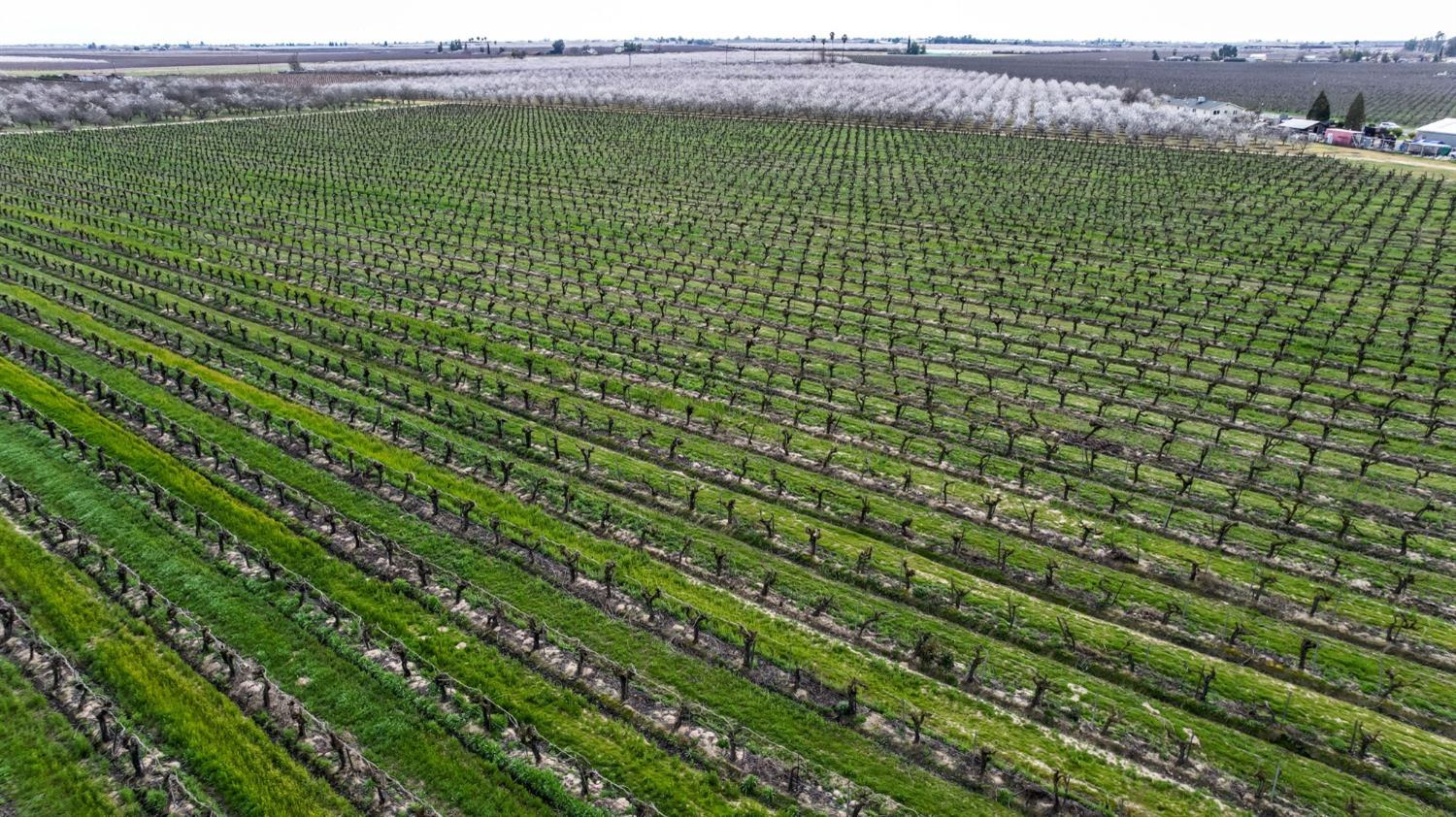 10690 S Henderson Rd, Fresno, CA 93706