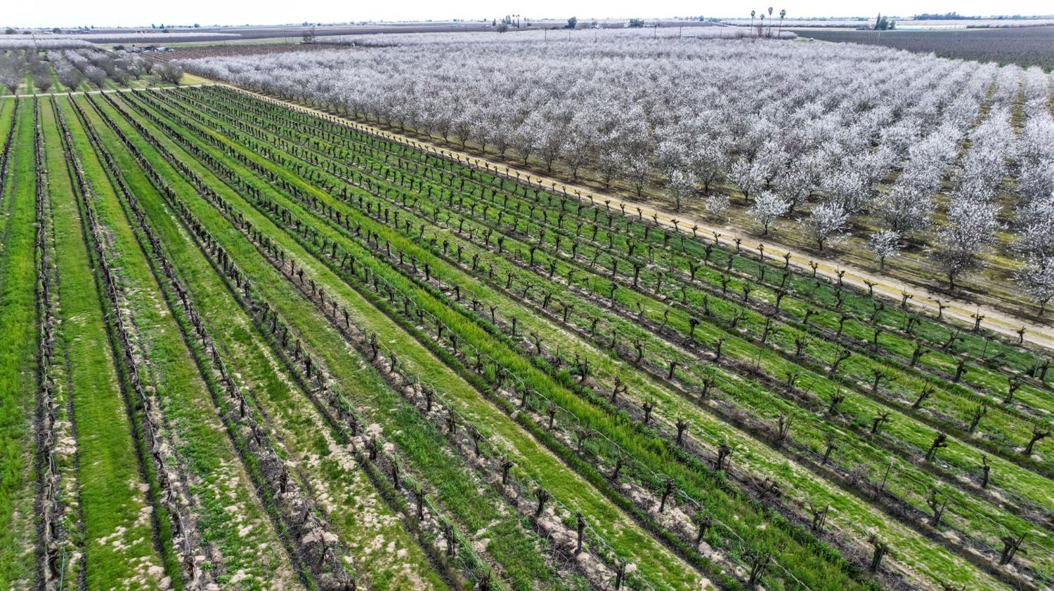 10690 S Henderson Rd, Fresno, CA 93706