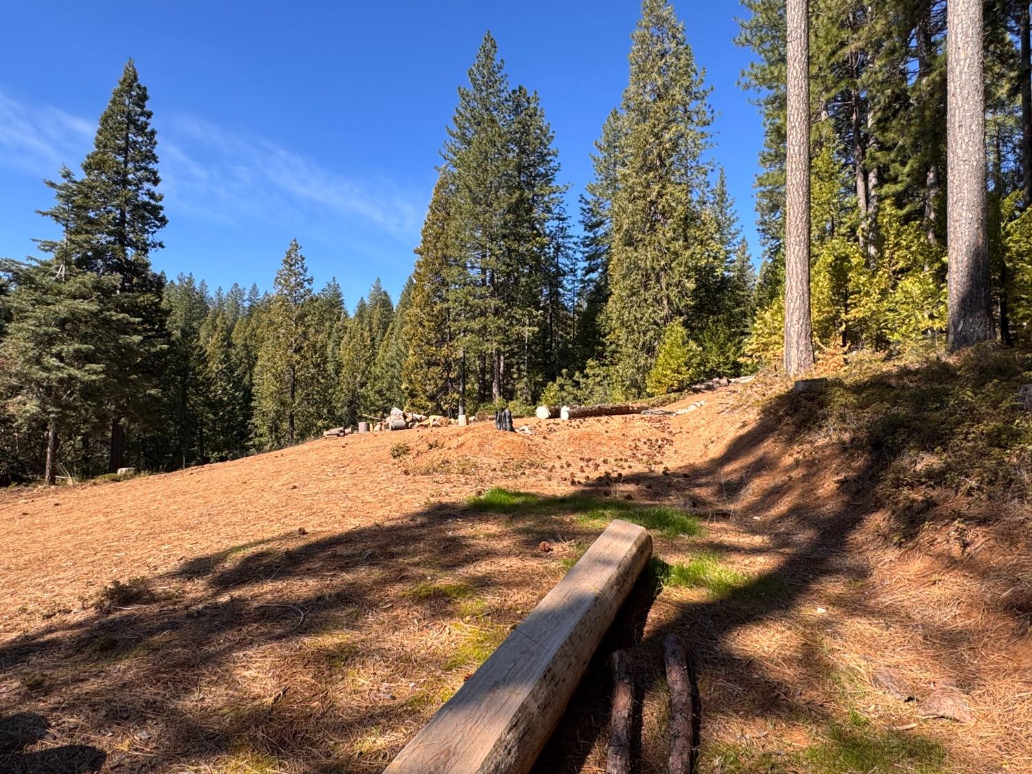 27643 Salt Springs Rd, Out Of Area, CA 95666