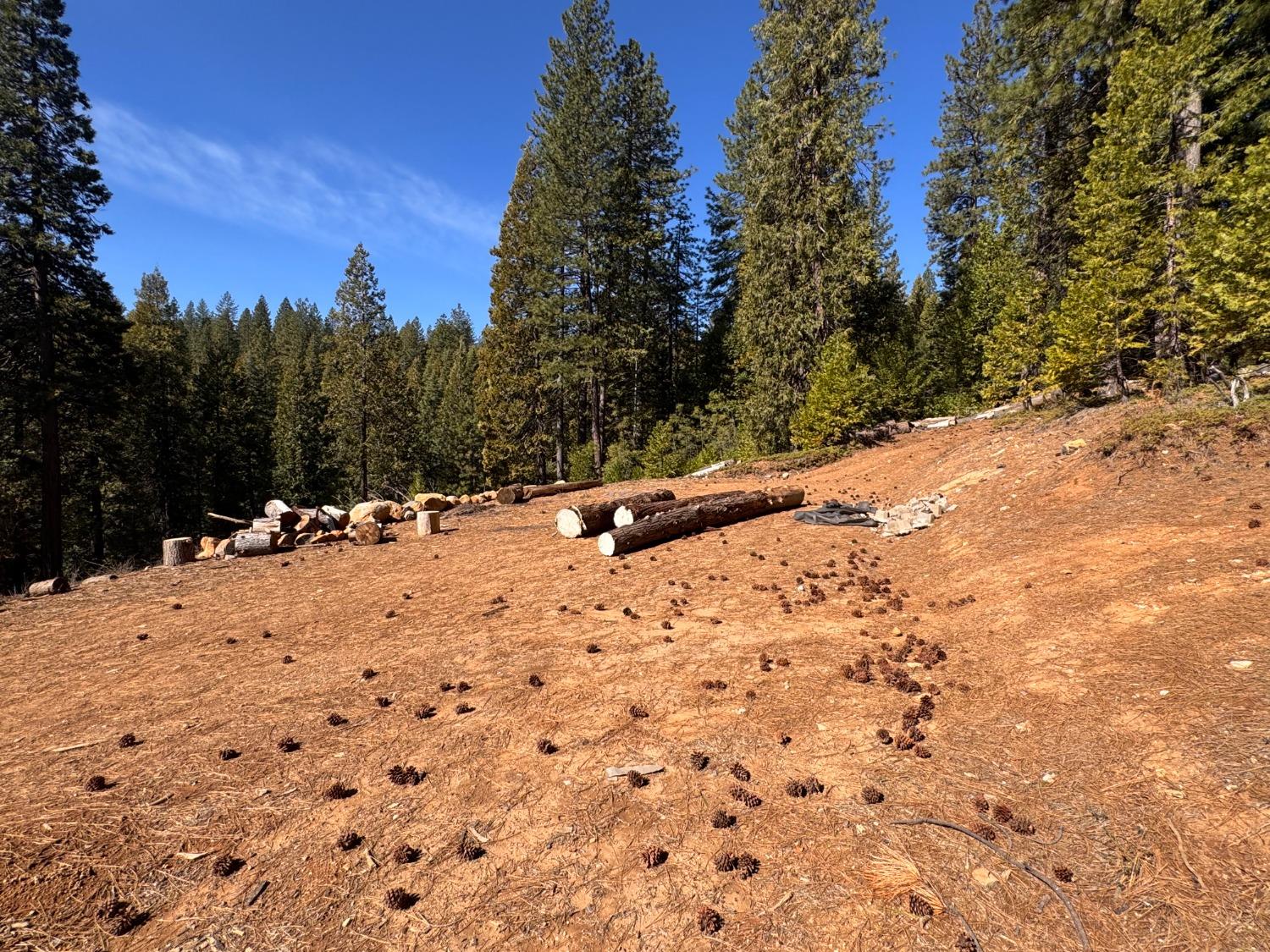 27643 Salt Springs Rd, Out Of Area, CA 95666