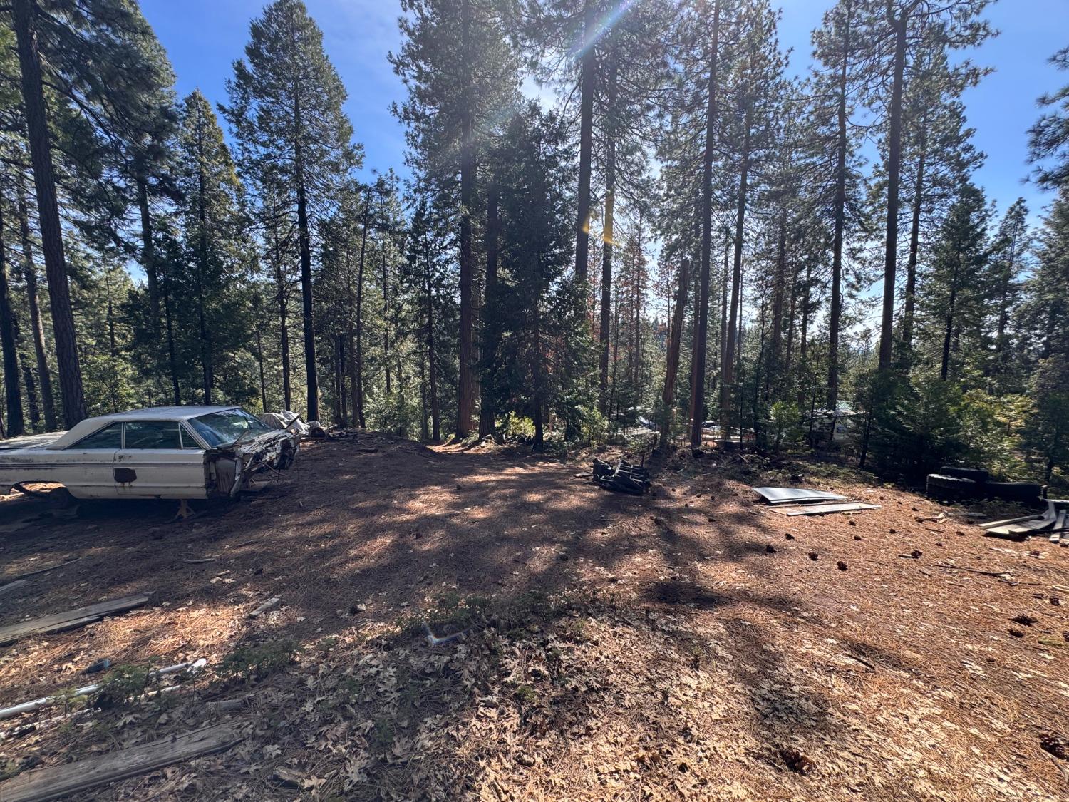 27643 Salt Springs Rd, Out Of Area, CA 95666