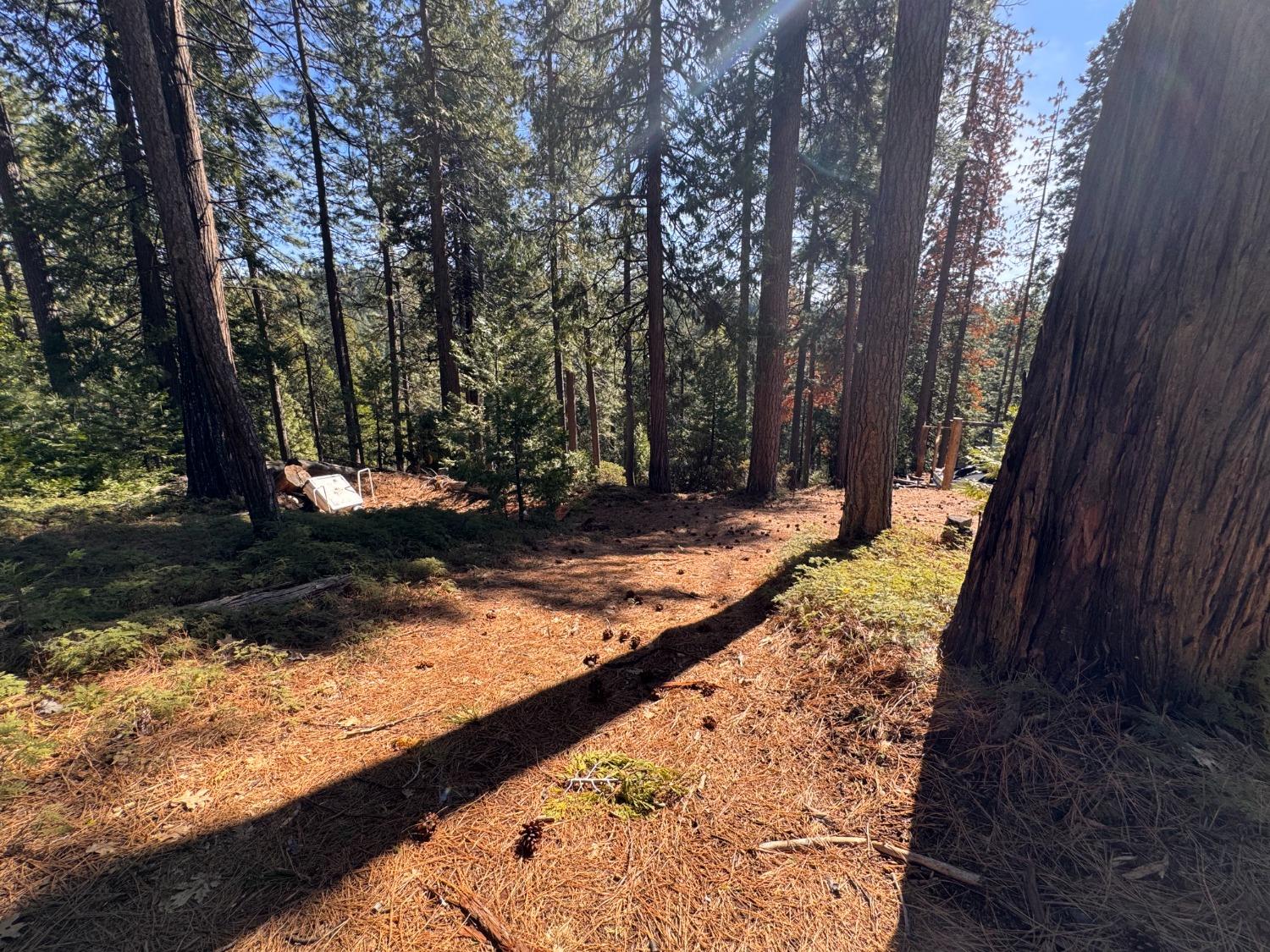 27643 Salt Springs Rd, Out Of Area, CA 95666