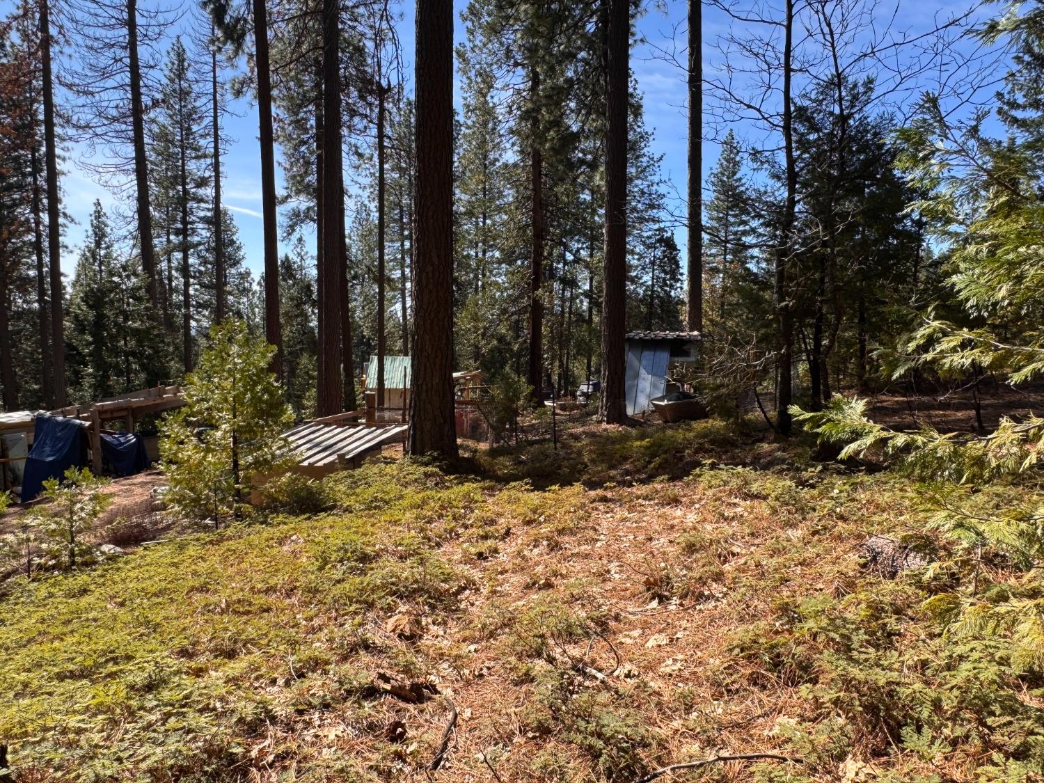 27643 Salt Springs Rd, Out Of Area, CA 95666