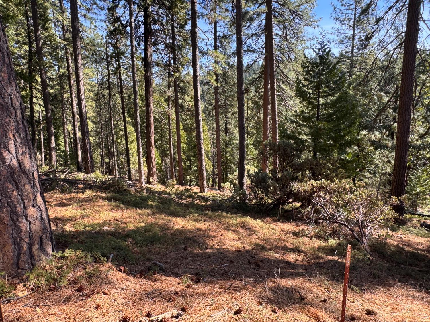 27643 Salt Springs Rd, Out Of Area, CA 95666