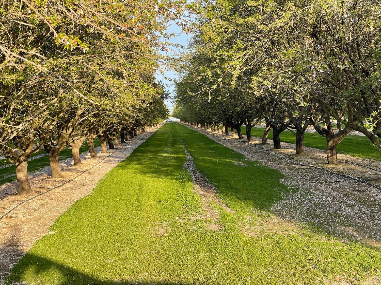 5720 E Conejo Ave, Selma, CA 93662