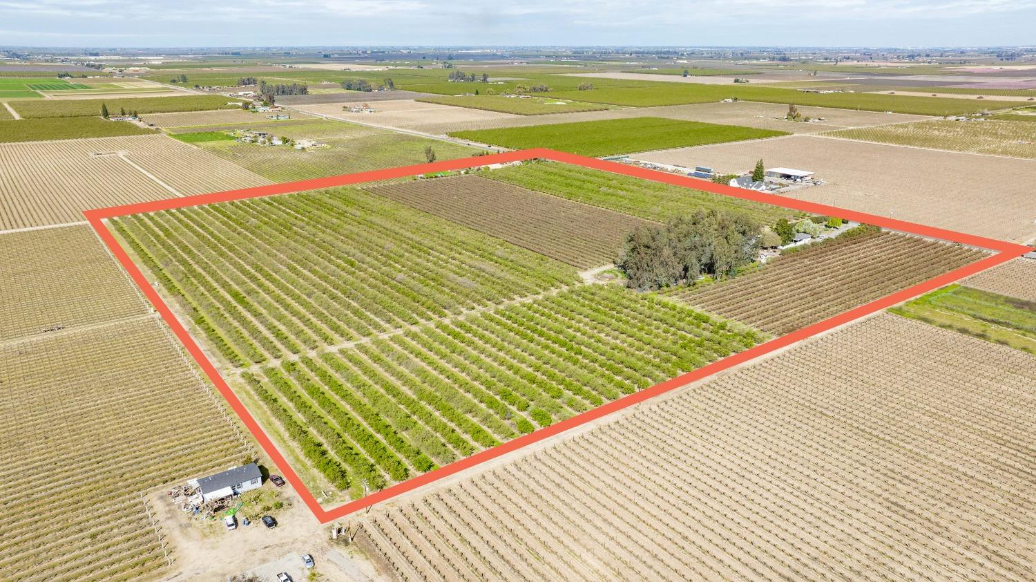 5720 E Conejo Ave, Selma, CA 93662