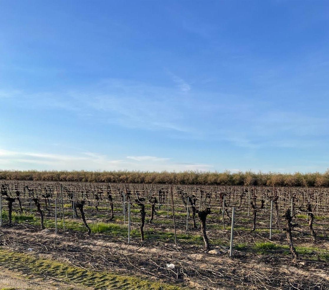 5720 E Conejo Ave, Selma, CA 93662